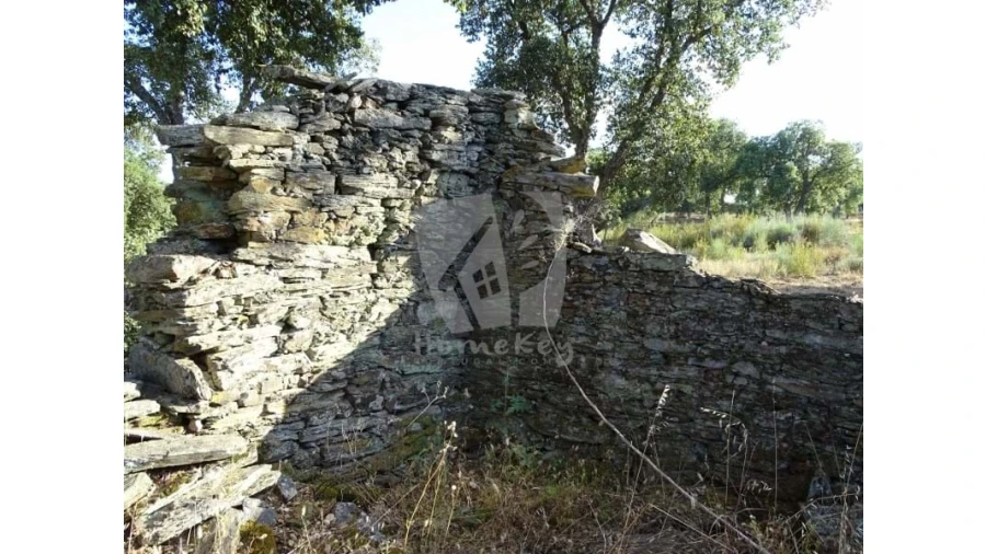 Terreno Agricola ou Rústico para Venda em Proença-A-Velha Foto 23