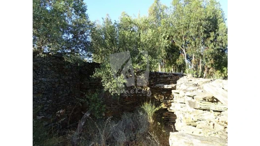 Terreno Agricola ou Rústico para Venda em Proença-A-Velha Foto 21