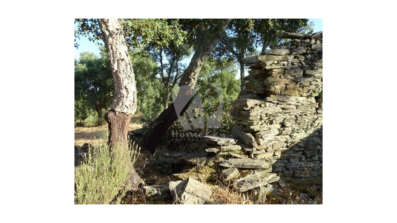 Terreno Agricola ou Rústico para Venda em Proença-A-Velha Foto 24