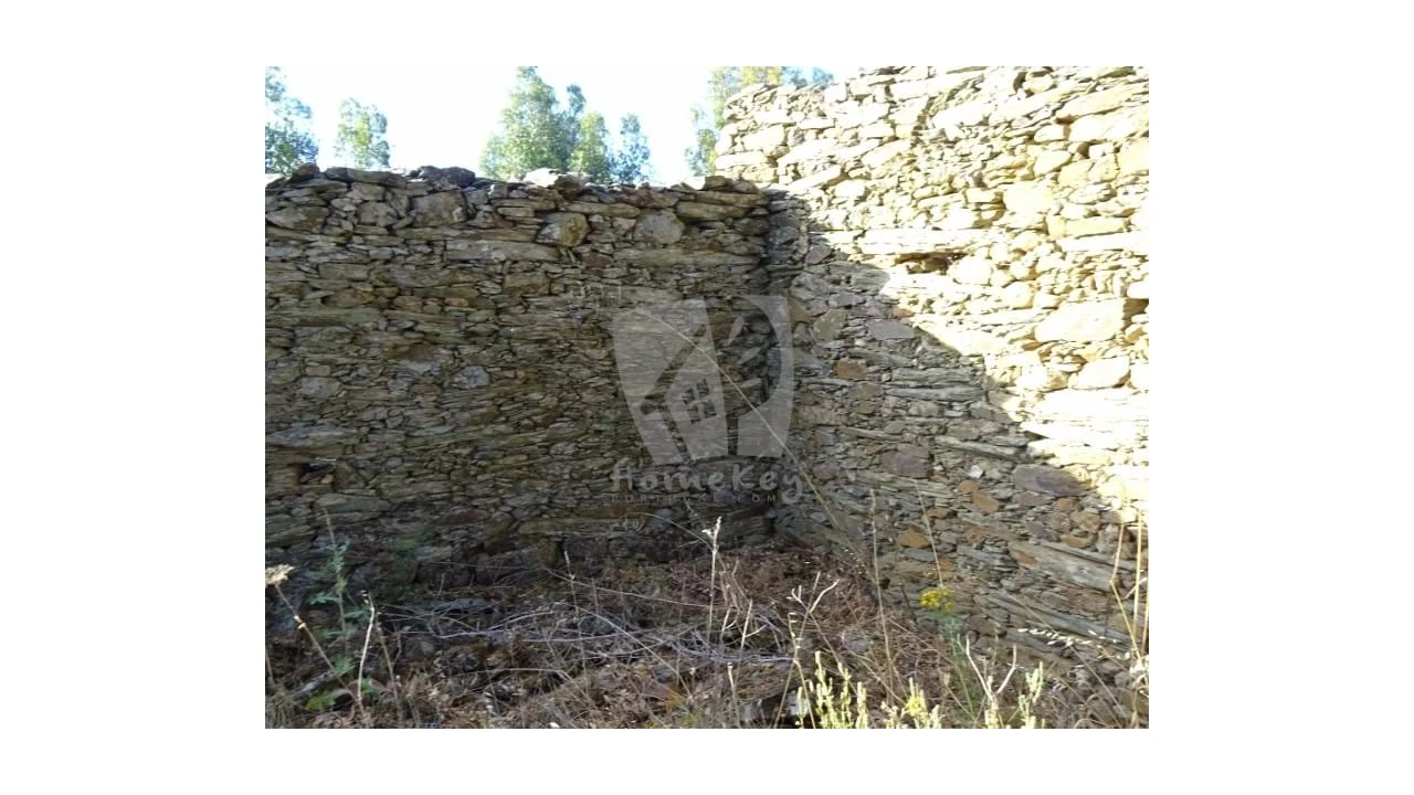 Terreno Agricola ou Rústico para Venda em Proença-A-Velha Foto 22
