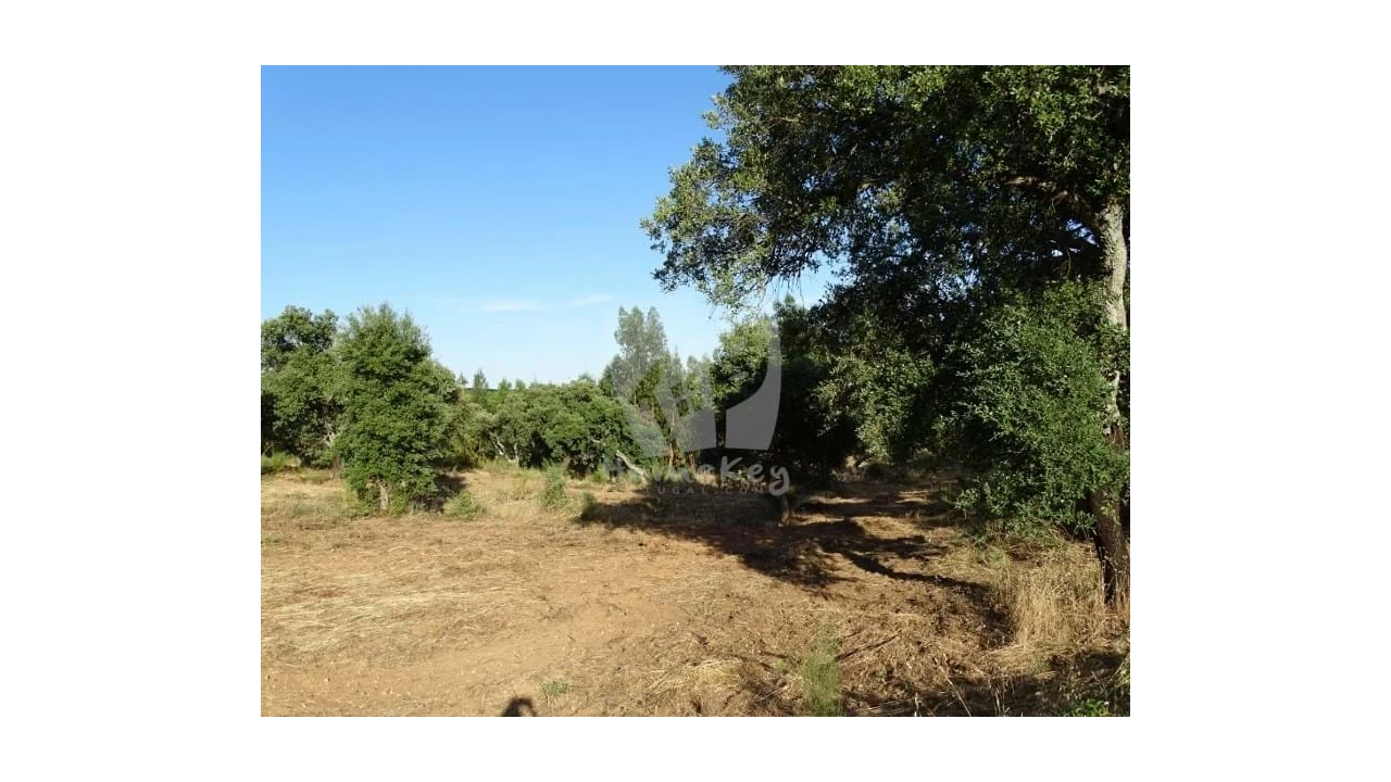Terreno Agricola ou Rústico para Venda em Proença-A-Velha Foto 14