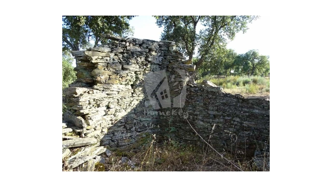 Terreno Agricola ou Rústico para Venda em Proença-A-Velha Foto 23