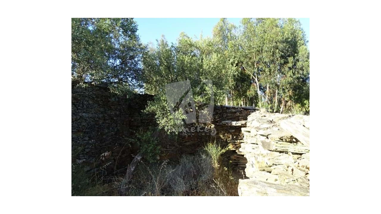 Terreno Agricola ou Rústico para Venda em Proença-A-Velha Foto 21