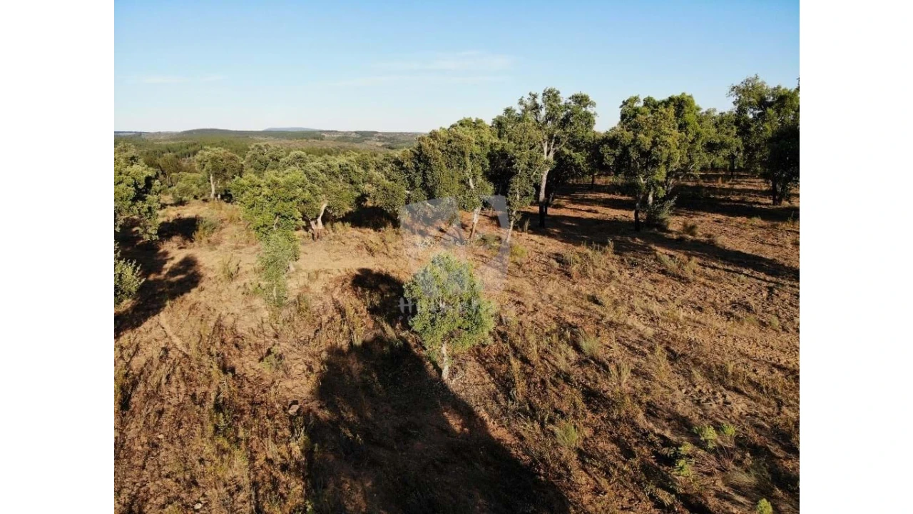Terreno Agricola ou Rústico para Venda em Proença-A-Velha Foto 51