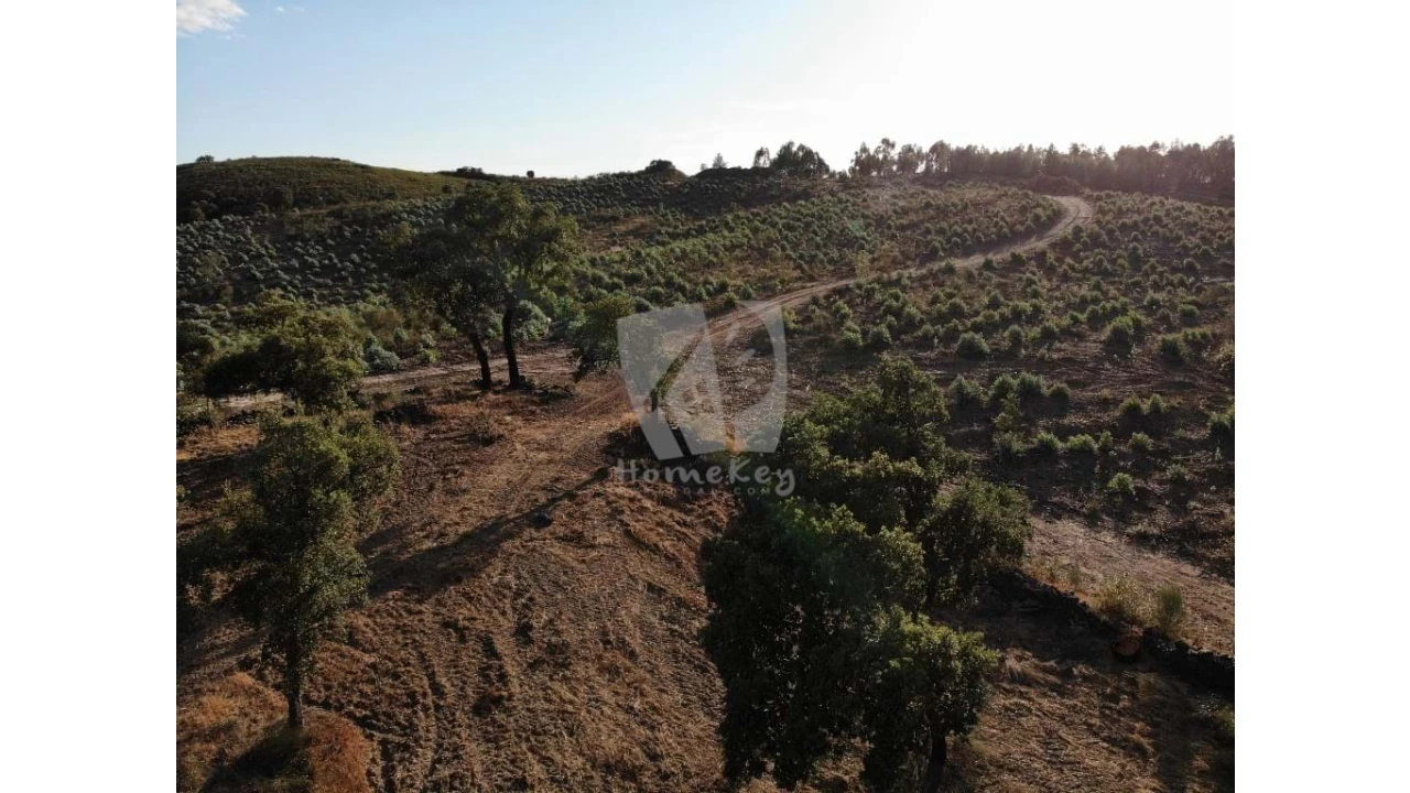 Terreno Agricola ou Rústico para Venda em Proença-A-Velha Foto 40