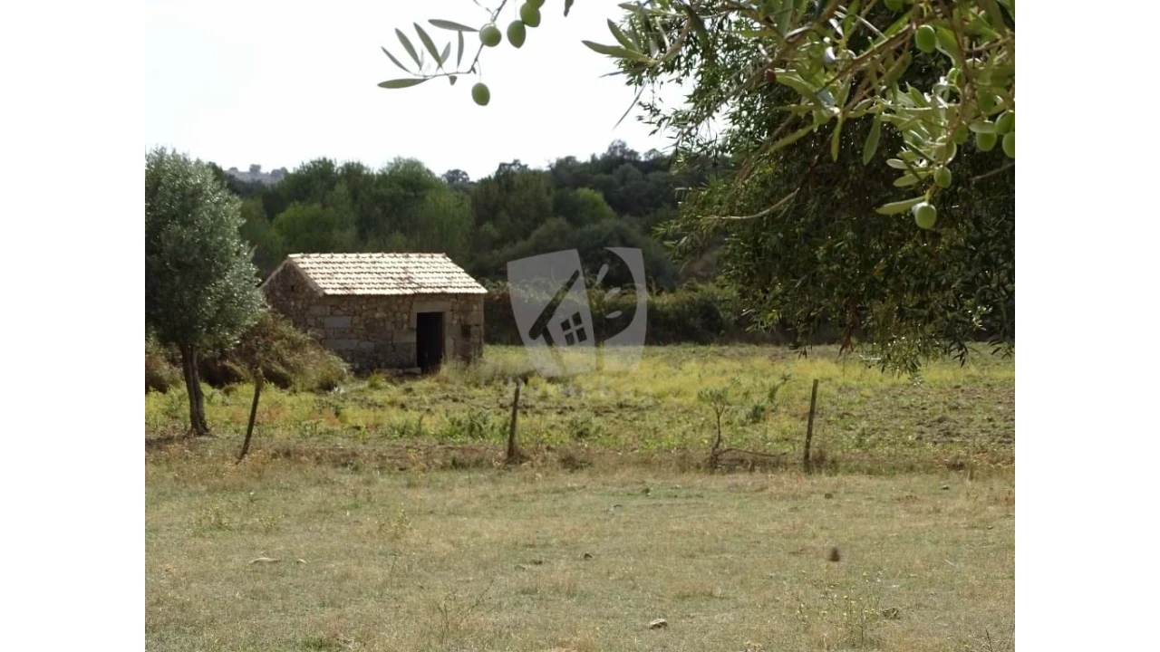 Terreno Agricola ou Rústico para Venda em Oledo Foto 29