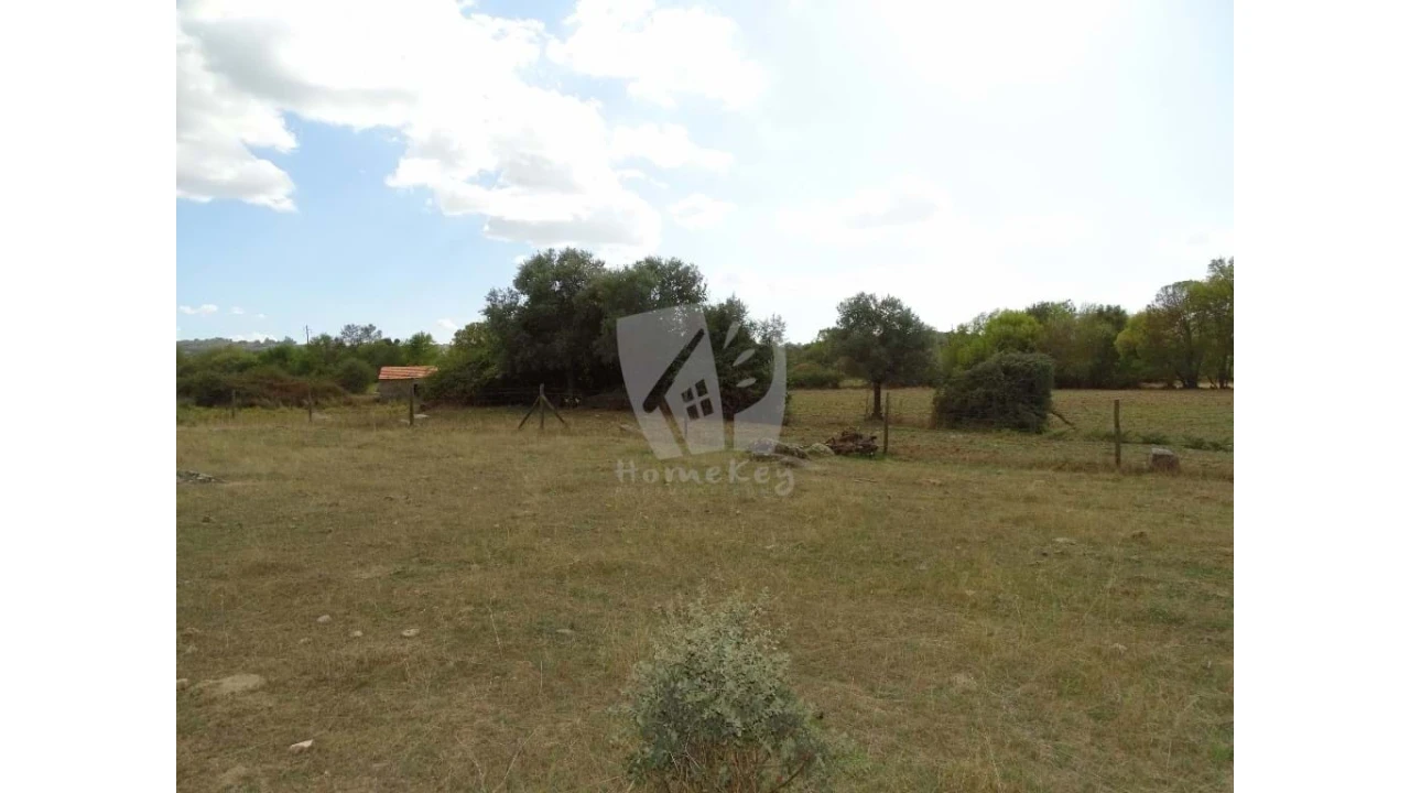 Terreno Agricola ou Rústico para Venda em Oledo Foto 13