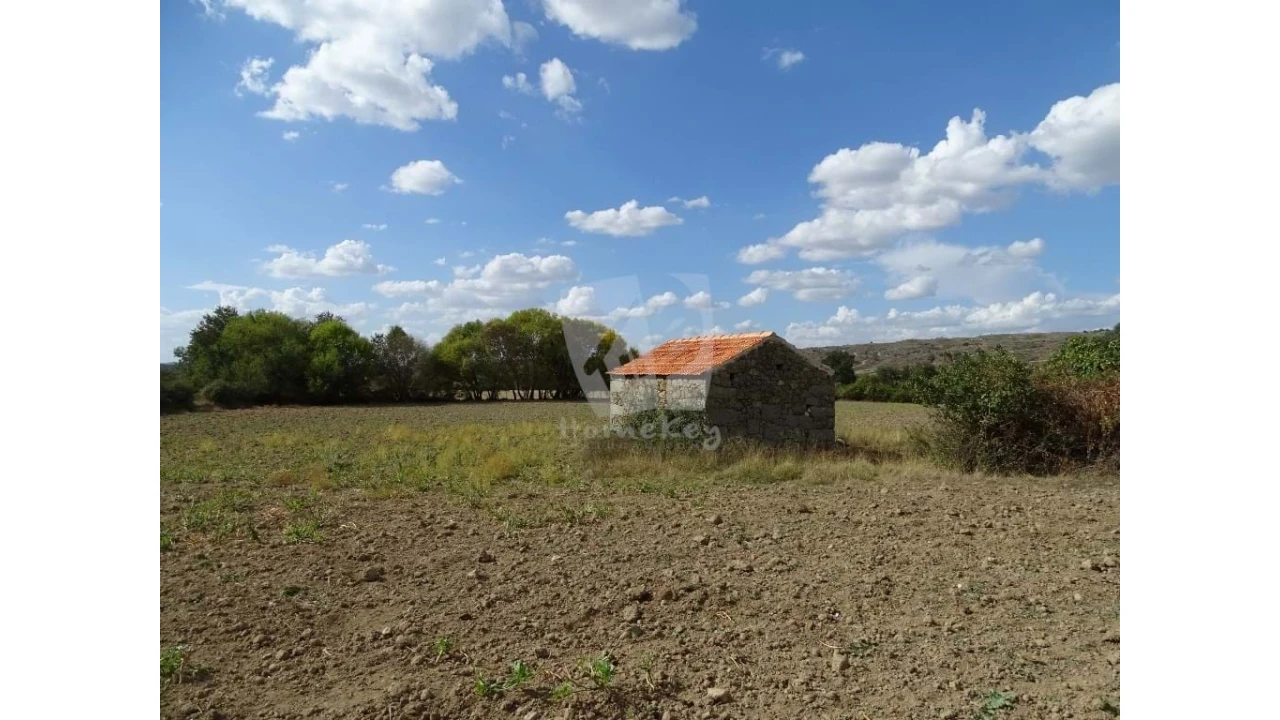 Terreno Agricola ou Rústico para Venda em Oledo Foto 27
