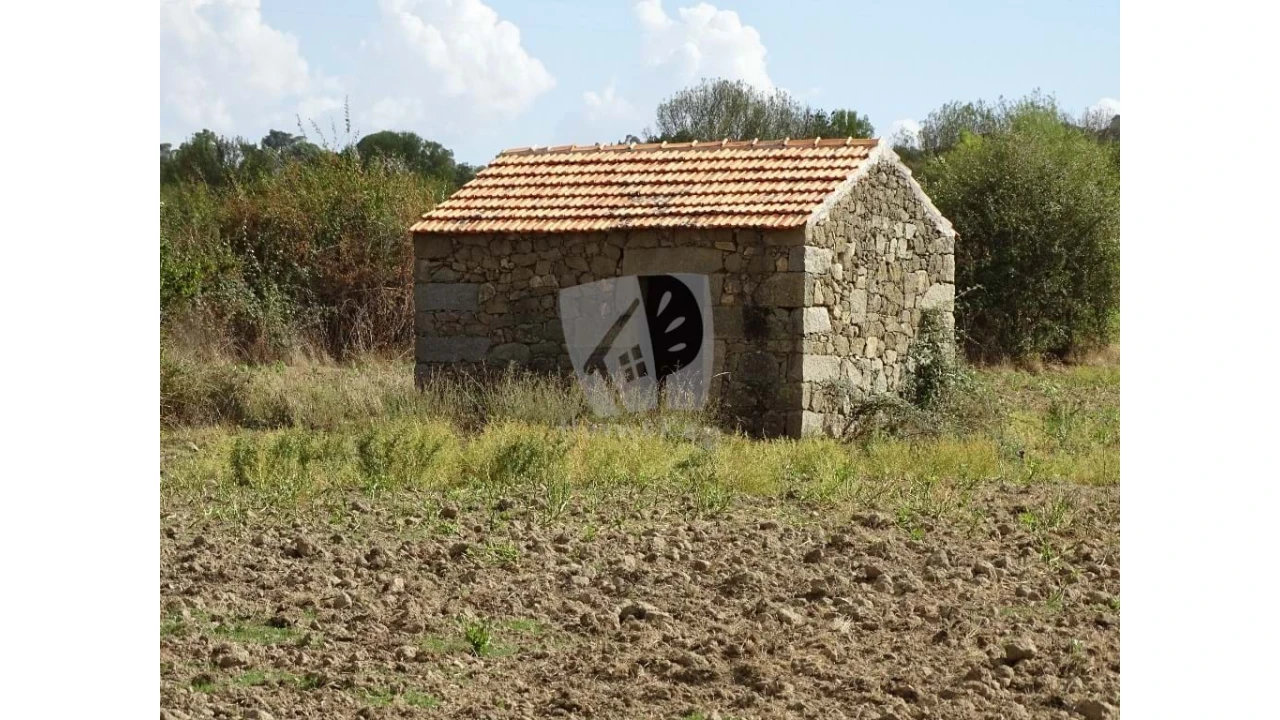 Terreno Agricola ou Rústico para Venda em Oledo Foto 6