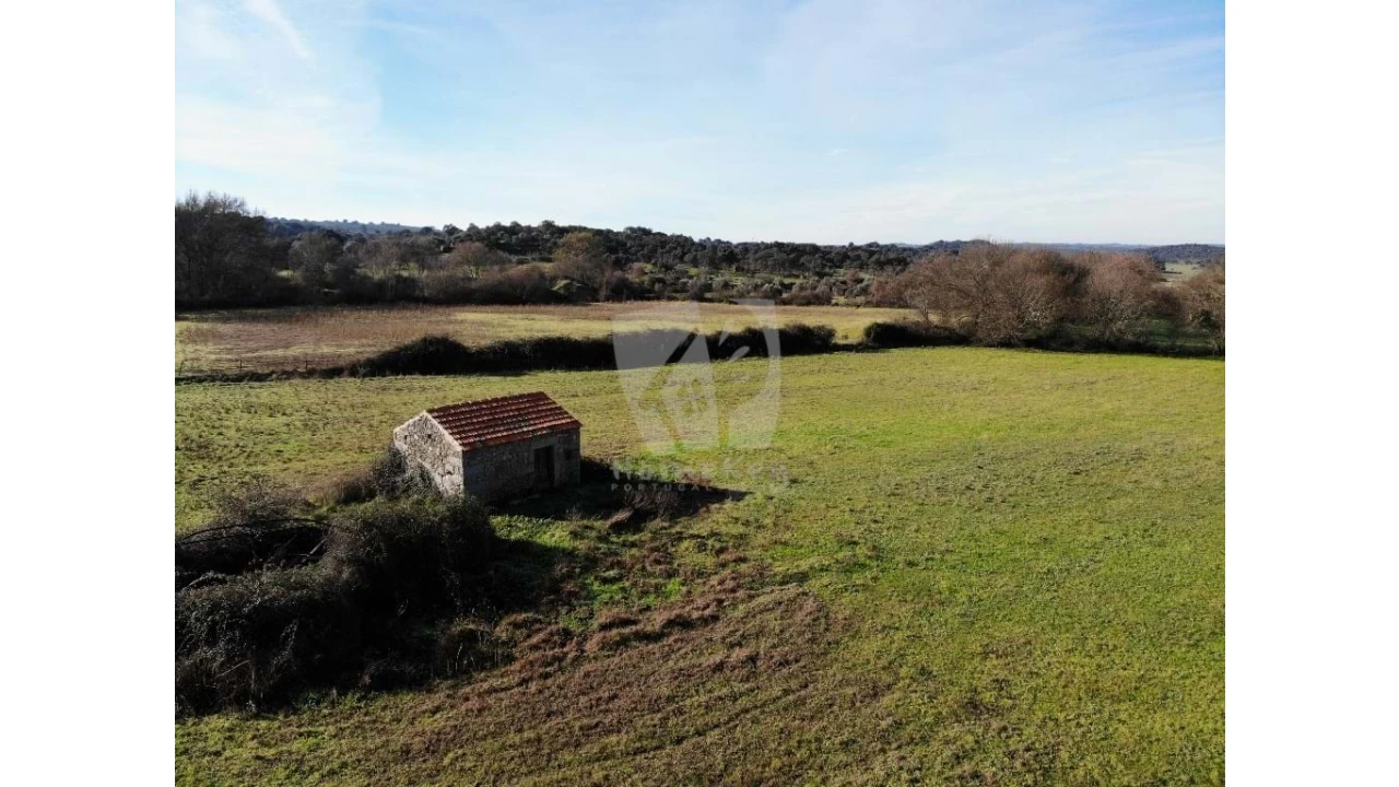 Terreno Agricola ou Rústico para Venda em Oledo Foto 30