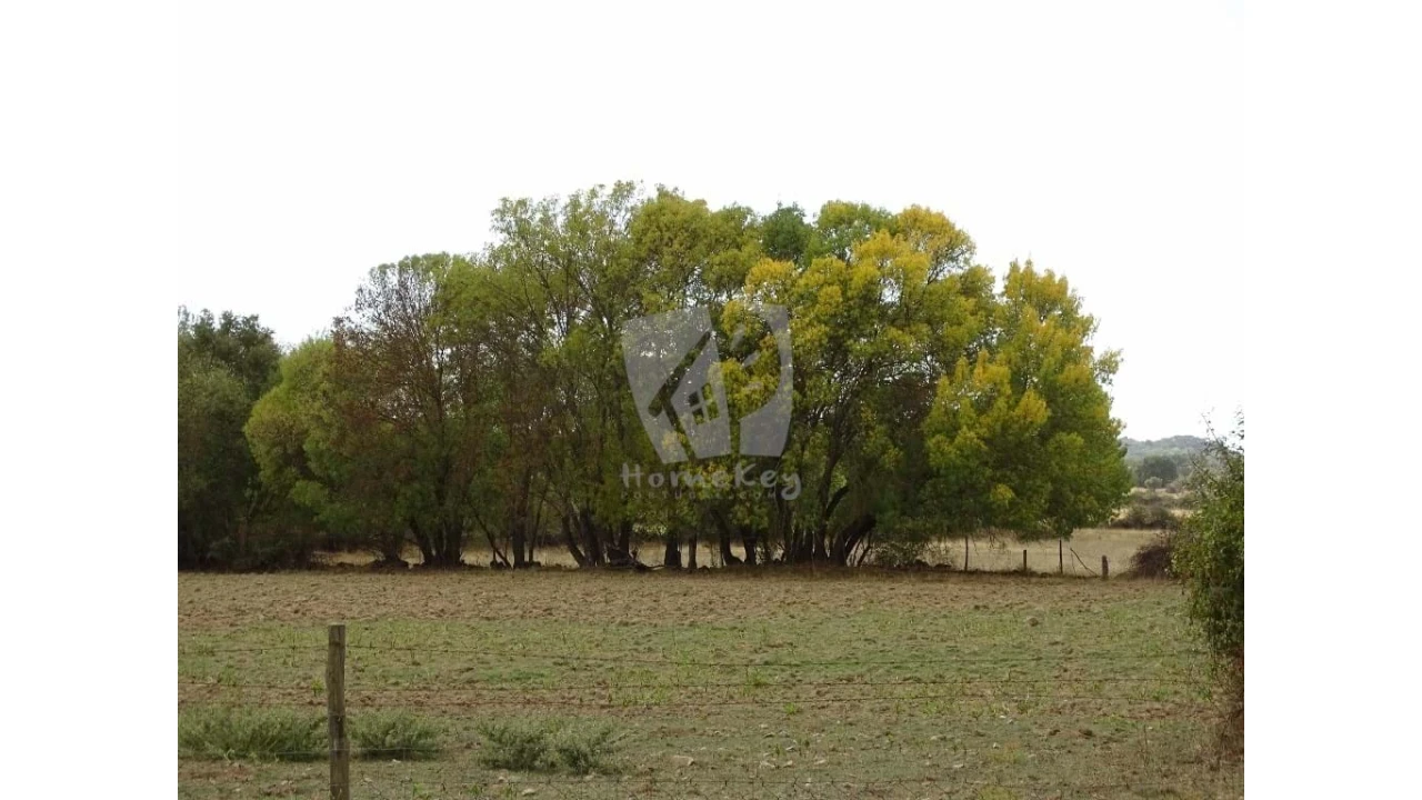 Terreno Agricola ou Rústico para Venda em Oledo Foto 11