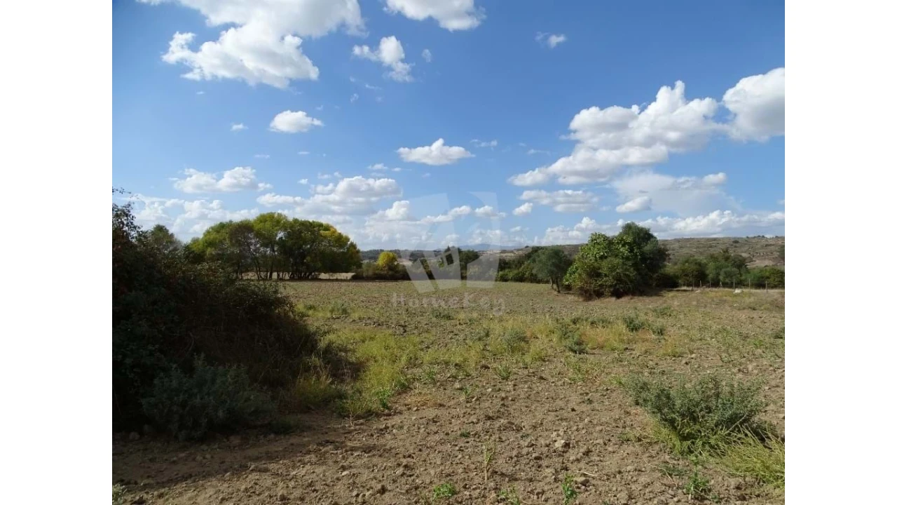 Terreno Agricola ou Rústico para Venda em Oledo Foto 9