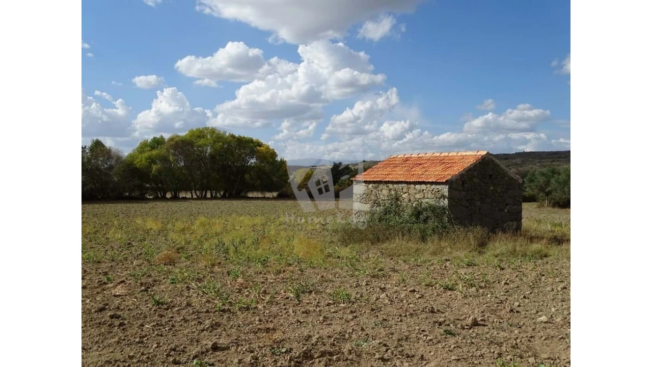 Terreno Agricola ou Rústico para Venda em Oledo Foto 24