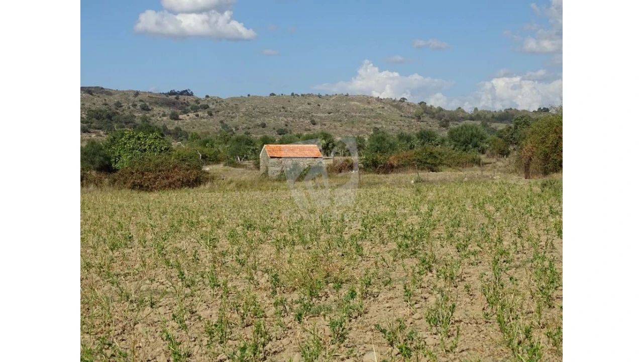 Terreno Agricola ou Rústico para Venda em Oledo Foto 8