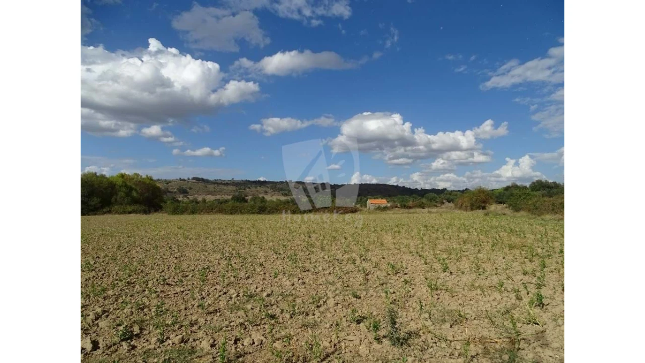 Terreno Agricola ou Rústico para Venda em Oledo Foto 26