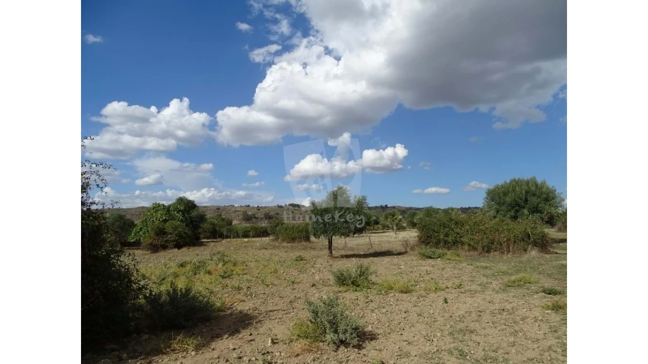 Terreno Agricola ou Rústico para Venda em Oledo Foto 12