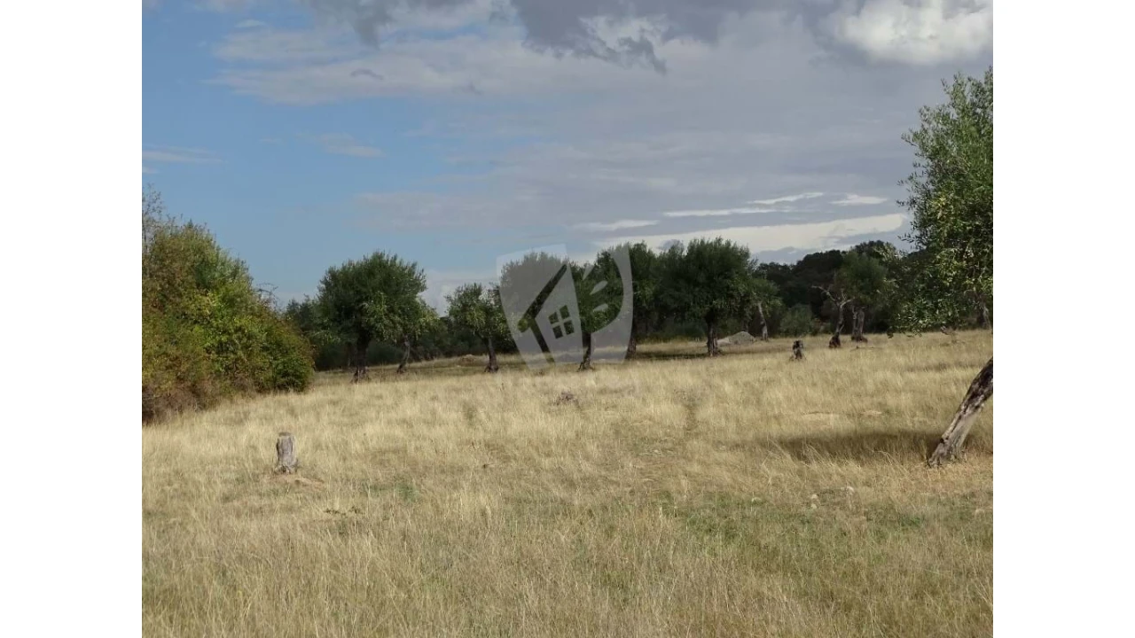 Terreno Agricola ou Rústico para Venda em Oledo Foto 10