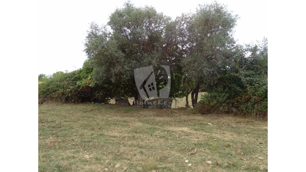 Terreno Agricola ou Rústico para Venda em Oledo Foto 20