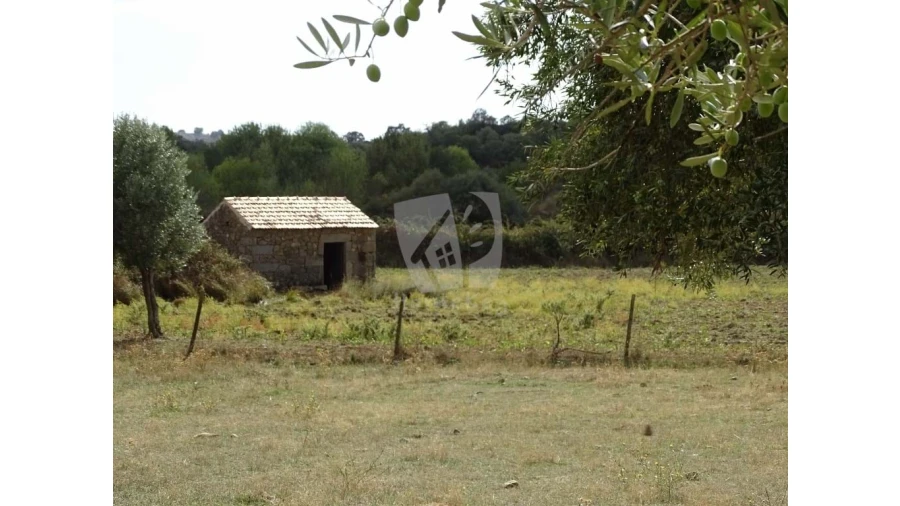 Terreno Agricola ou Rústico para Venda em Oledo Foto 29
