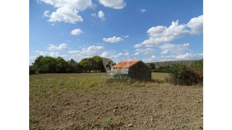 Terreno Agricola ou Rústico para Venda em Oledo Foto 27