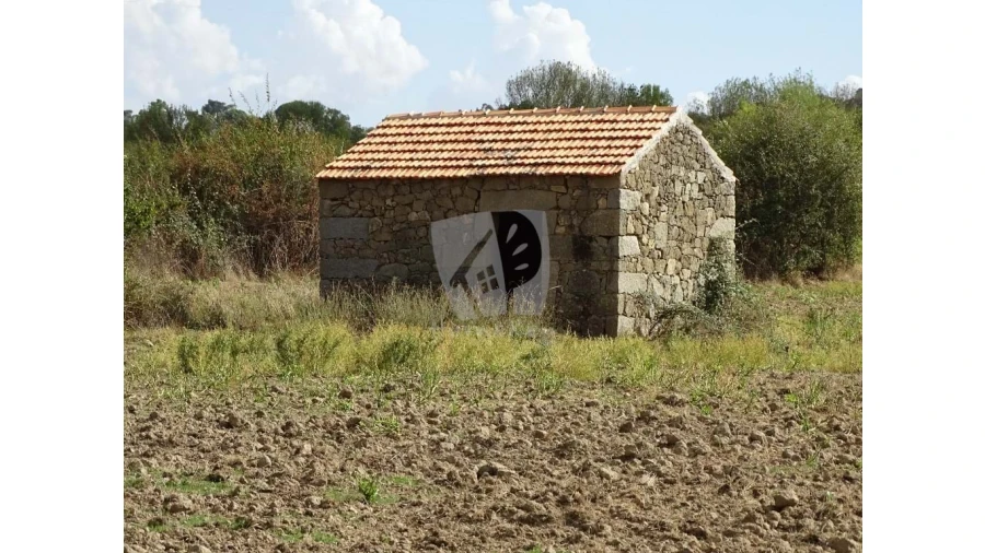 Terreno Agricola ou Rústico para Venda em Oledo Foto 6