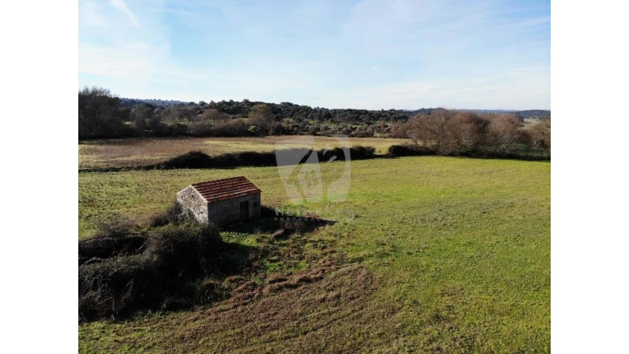 Terreno Agricola ou Rústico para Venda em Oledo Foto 30