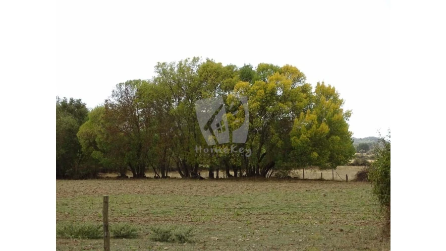 Terreno Agricola ou Rústico para Venda em Oledo Foto 11