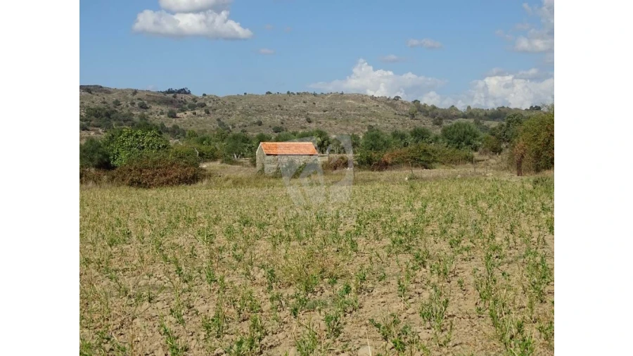 Terreno Agricola ou Rústico para Venda em Oledo Foto 8