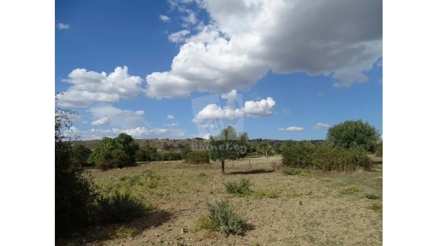 Terreno Agricola ou Rústico para Venda em Oledo Foto 12