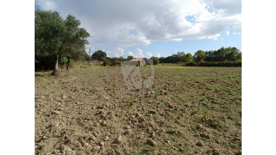 Terreno Agricola ou Rústico para Venda em Oledo Foto 18