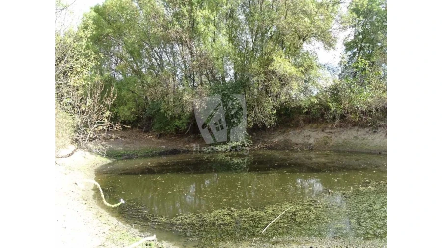 Terreno Agricola ou Rústico para Venda em Oledo Foto 14