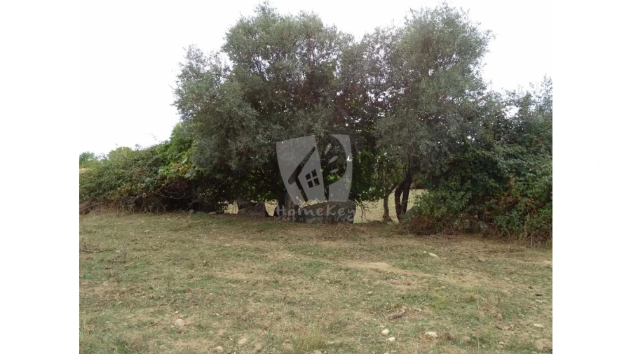 Terreno Agricola ou Rústico para Venda em Oledo Foto 20