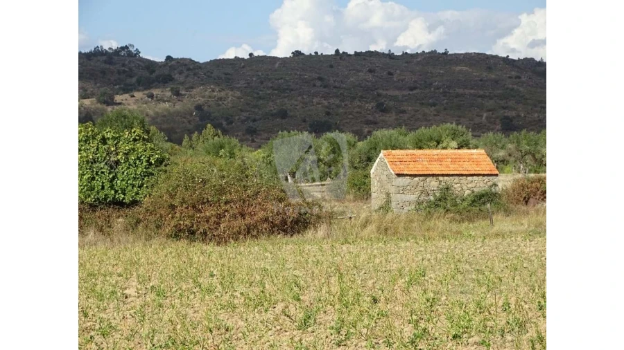 Terreno Agricola ou Rústico para Venda em Oledo Foto 7