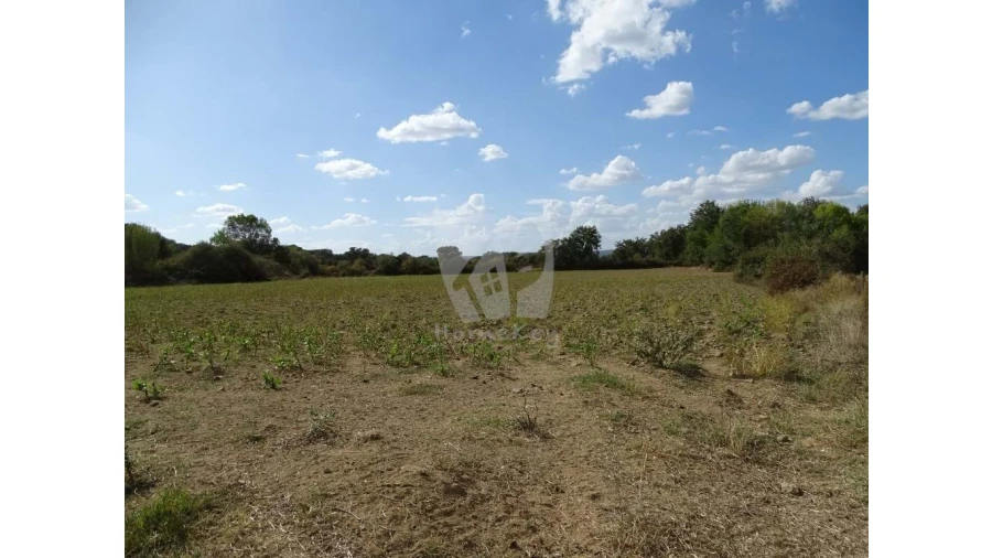 Terreno Agricola ou Rústico para Venda em Oledo Foto 28
