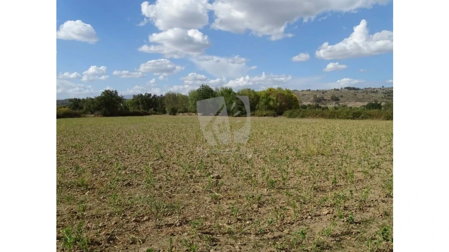 Terreno Agricola ou Rústico para Venda em Oledo Foto 19