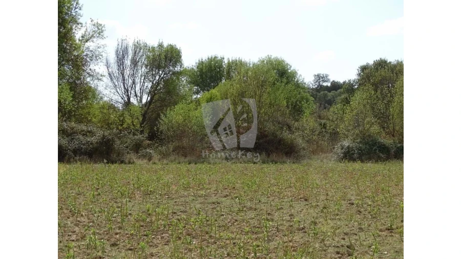 Terreno Agricola ou Rústico para Venda em Oledo Foto 17