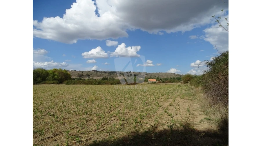 Terreno Agricola ou Rústico para Venda em Oledo Foto 5