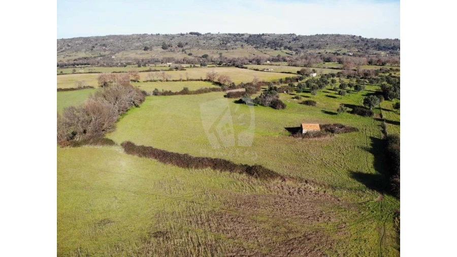 Terreno Agricola ou Rústico para Venda em Oledo Foto 32