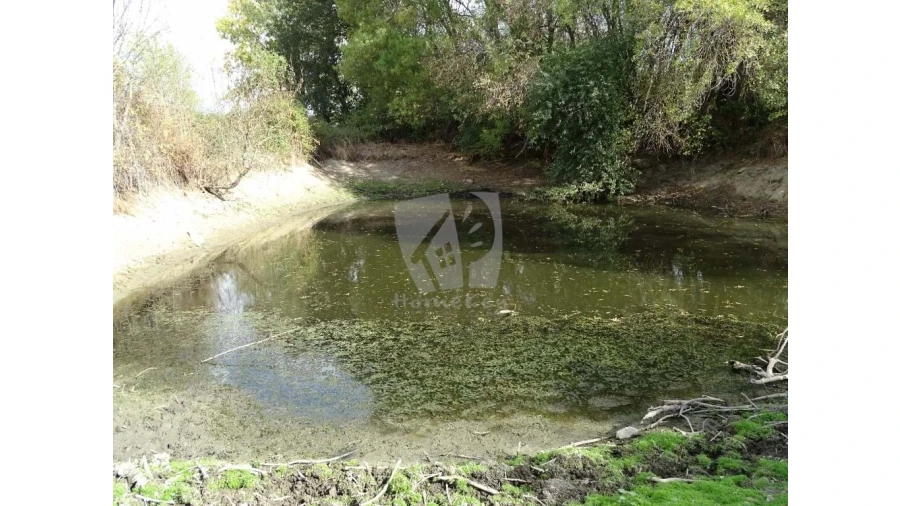 Terreno Agricola ou Rústico para Venda em Oledo Foto 15