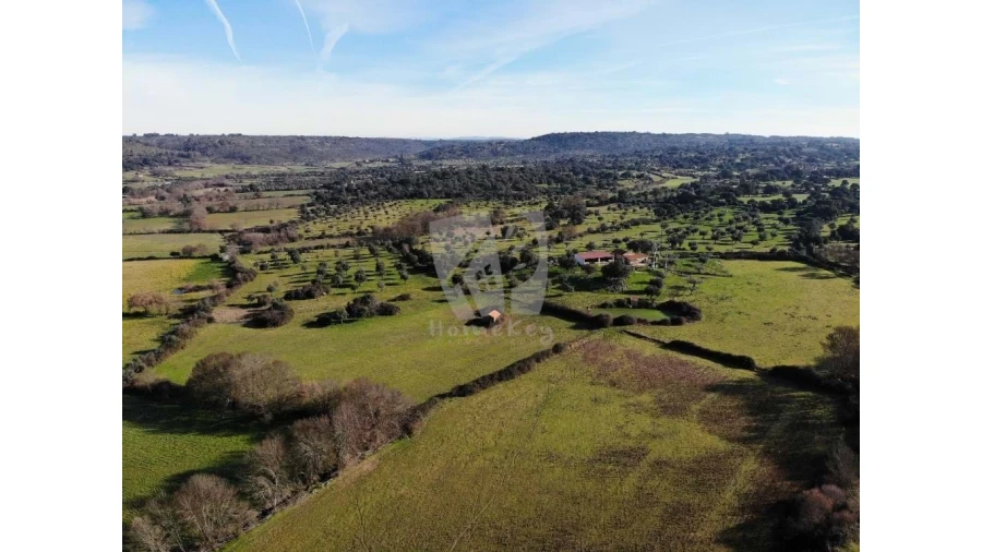 Terreno Agricola ou Rústico para Venda em Oledo Foto 31