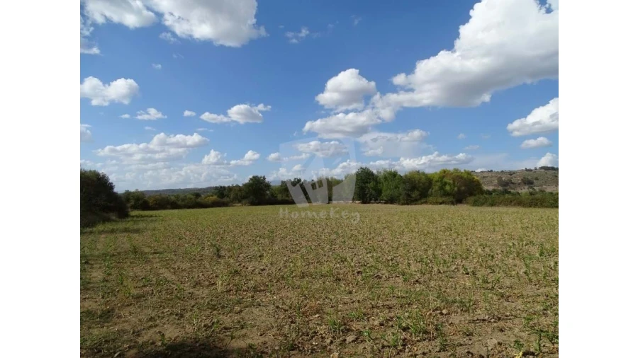 Terreno Agricola ou Rústico para Venda em Oledo Foto 3