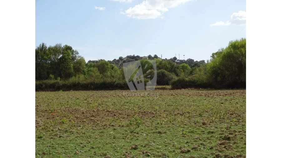 Terreno Agricola ou Rústico para Venda em Oledo Foto 4