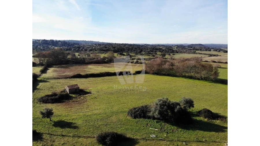 Terreno Agricola ou Rústico para Venda em Oledo Foto 35