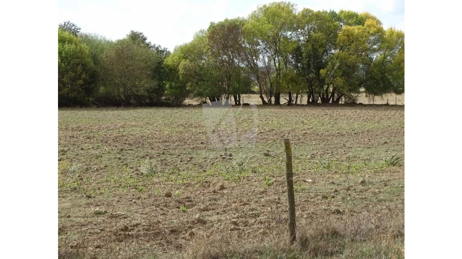 Terreno Agricola ou Rústico para Venda em Oledo Foto 16
