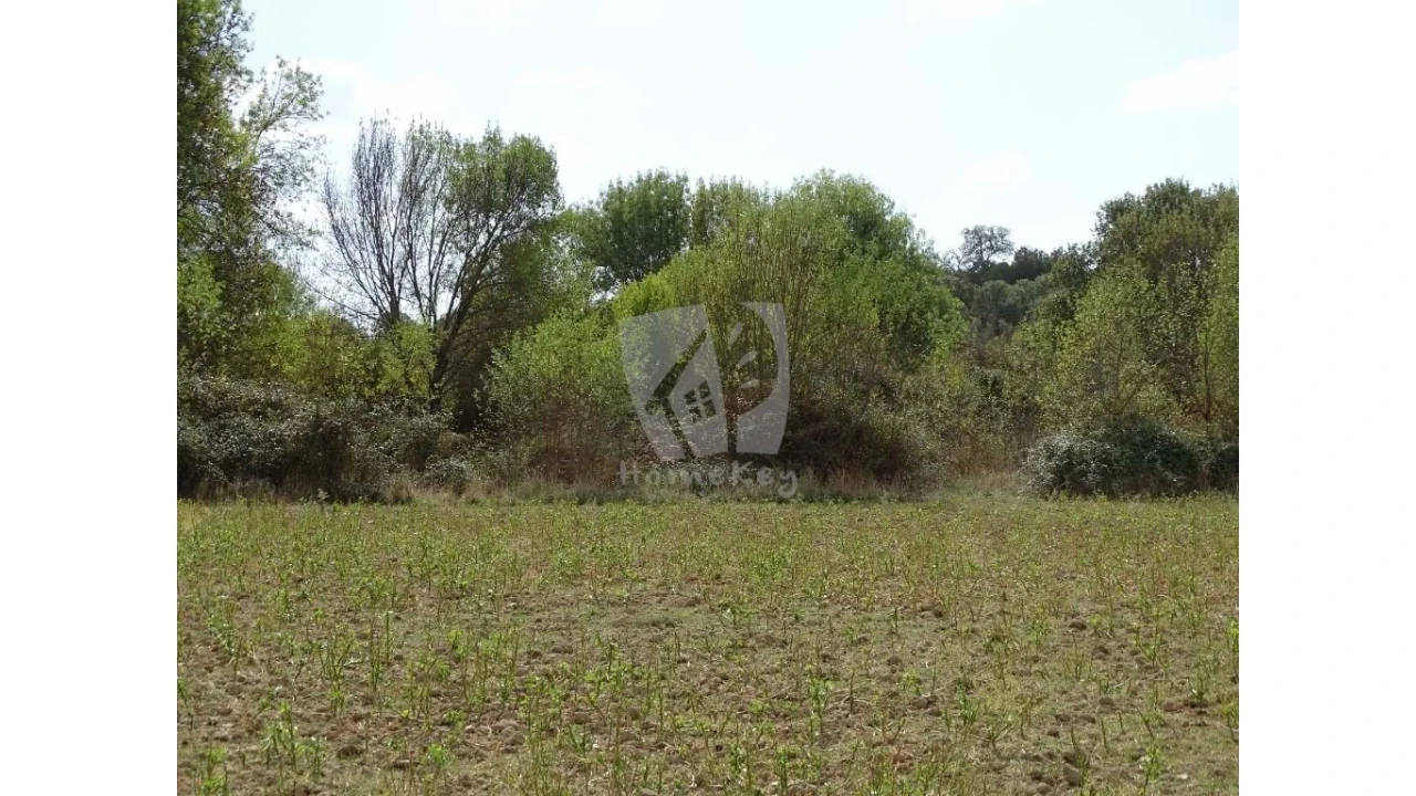 Terreno Agricola ou Rústico para Venda em Oledo Foto 17