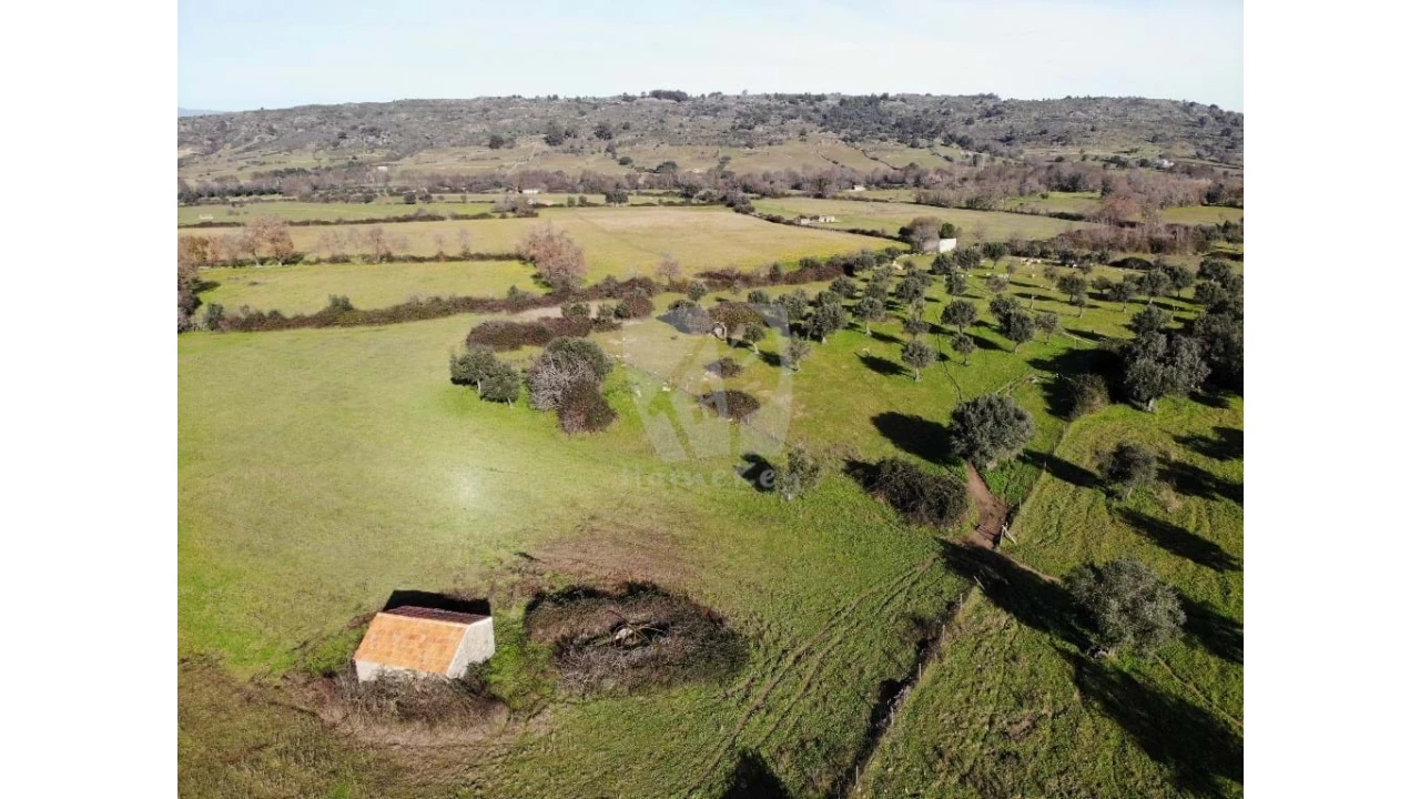 Terreno Agricola ou Rústico para Venda em Oledo Foto 33