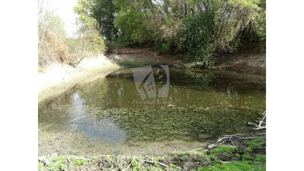 Terreno Agricola ou Rústico para Venda em Oledo Foto 15