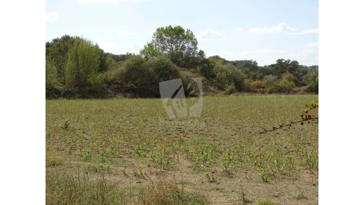 Terreno Agricola ou Rústico para Venda em Oledo Foto 23