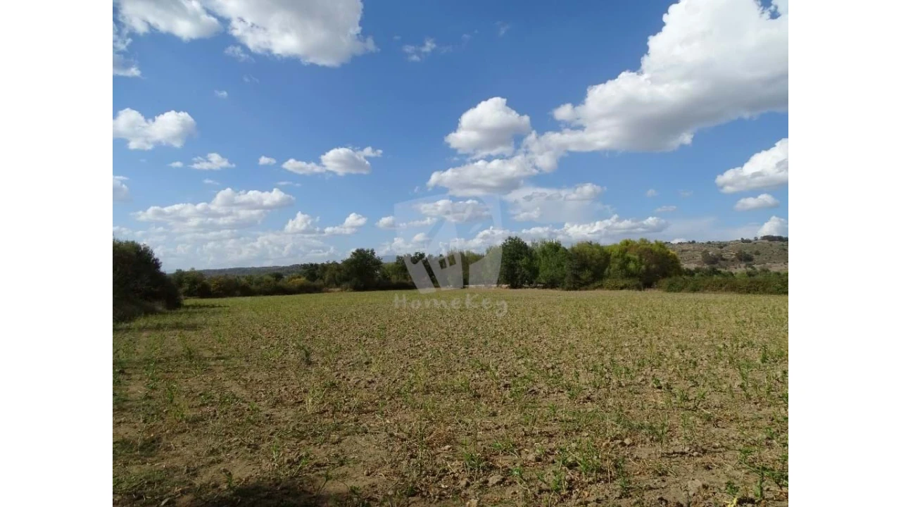 Terreno Agricola ou Rústico para Venda em Oledo Foto 3