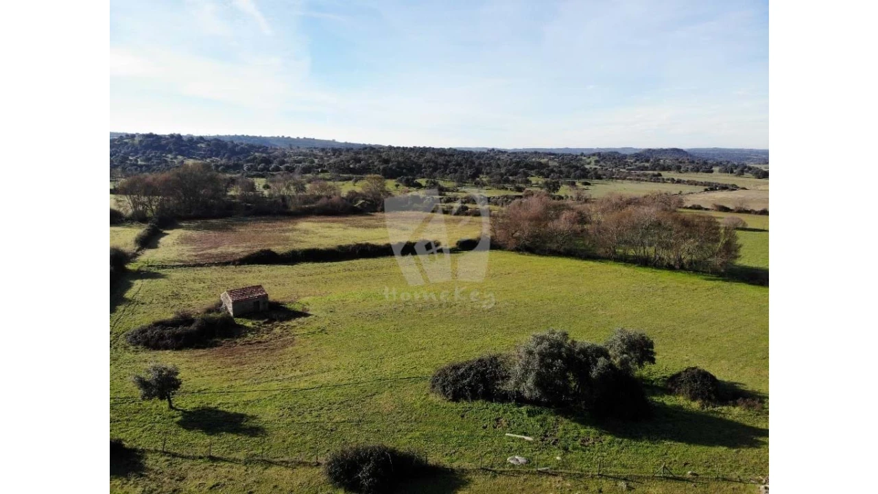 Terreno Agricola ou Rústico para Venda em Oledo Foto 35